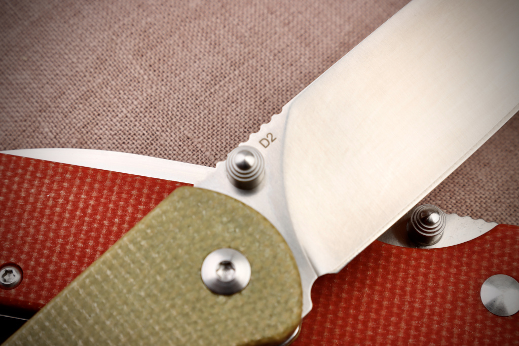 parrot3.jpeg 0893A74F-90E3-41CA-8771-2B37AE38B6D0_1_201_a.jpeg