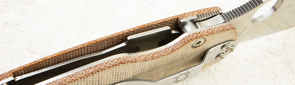 _MG_0944.jpg _MG_0944.jpg