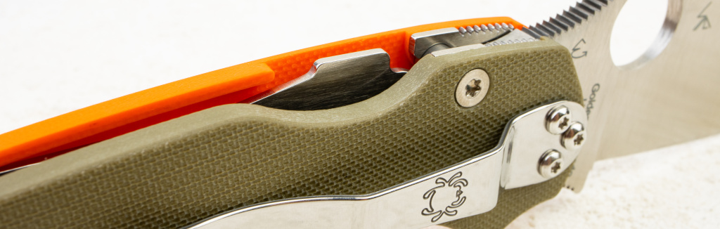 _MG_0950.jpg _MG_0950.jpg