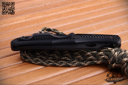 Spyderco Endura, Combo, Black Blade, VG-10 - купить в интернет-магазине Blademan