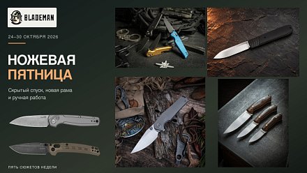 Пятничный дайджест: ножевые новости за 24–30 октября
