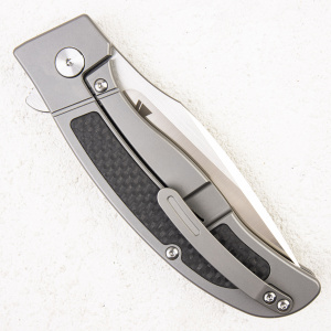 Нож QSP Legatus, M390, Titanium/Carbon - складной туристические ножи из стали Нож QSP Legatus, M390, Titanium/Carbon - складной туристические ножи из стали