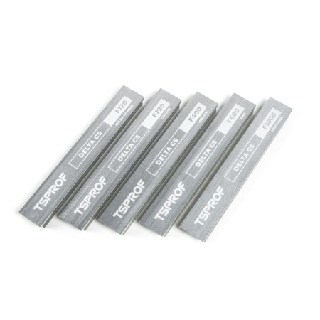 Камни для заточки TSPROF Delta CS, на бланках (5 шт), TS-SH2502000