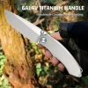 Нож Remette Wild Species, M390, Titanium Gray Handle, WD108-G Нож Remette Wild Species, M390, Titanium Gray Handle, WD108-G