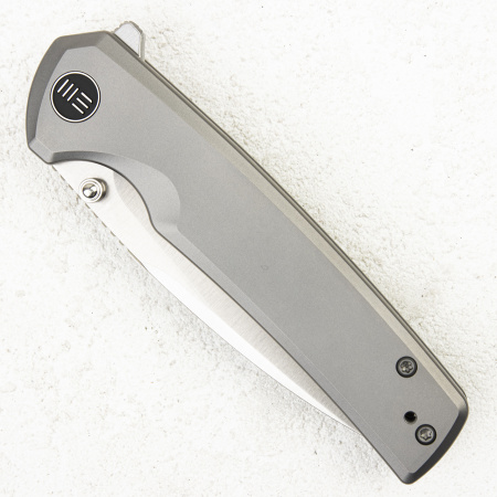 Нож WE Knife Subjugator, 20CV, Titanium Gray, WE21014C-1 Нож WE Knife Subjugator, 20CV, Titanium Gray, WE21014C-1 - купить в интернет-магазине Blademan
