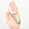 Нож Buck Budgie, S35VN, G10 Jade, 0417GRS-B Нож Buck Budgie, S35VN, G10 Jade, 0417GRS-B