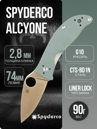Нож Spyderco Alcyone, CTS BD1N, G10 Gray, C222GPGY
