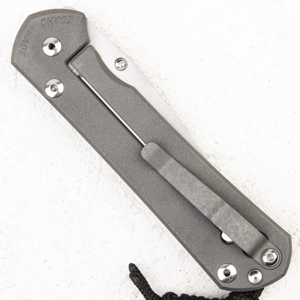 Нож Chris Reeve Large Sebenza 31 Unique Graphic, S45VN, Titanium - складной туристические ножи из стали