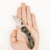 Нож Spyderco Dragonfly 2, VG-10, Zome Green, C28ZFPGR2