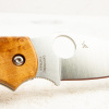 Нож Spyderco Chaparral, CTS XHP, Maple Wood, C152WDP Нож Spyderco Chaparral, CTS XHP, Maple Wood, C152WDP