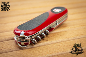 Нож перочинный Victorinox Evolution Grip 10 Red/Black - купить в интернет-магазине Blademan